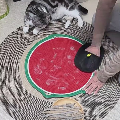 Pet Hair Removal Glove Brush